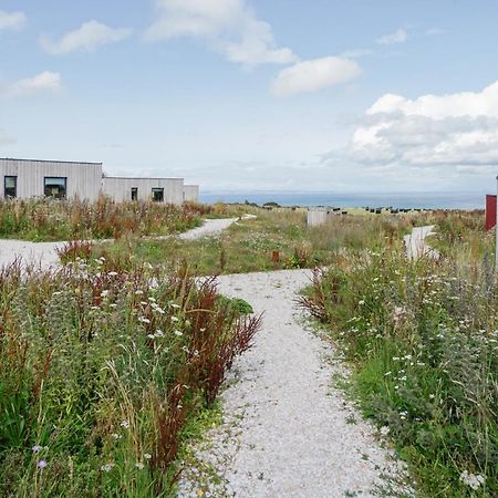 Rustic Cabins, Sea Views From Rewilded Farm With Highland Cows St Andrews Extérieur photo